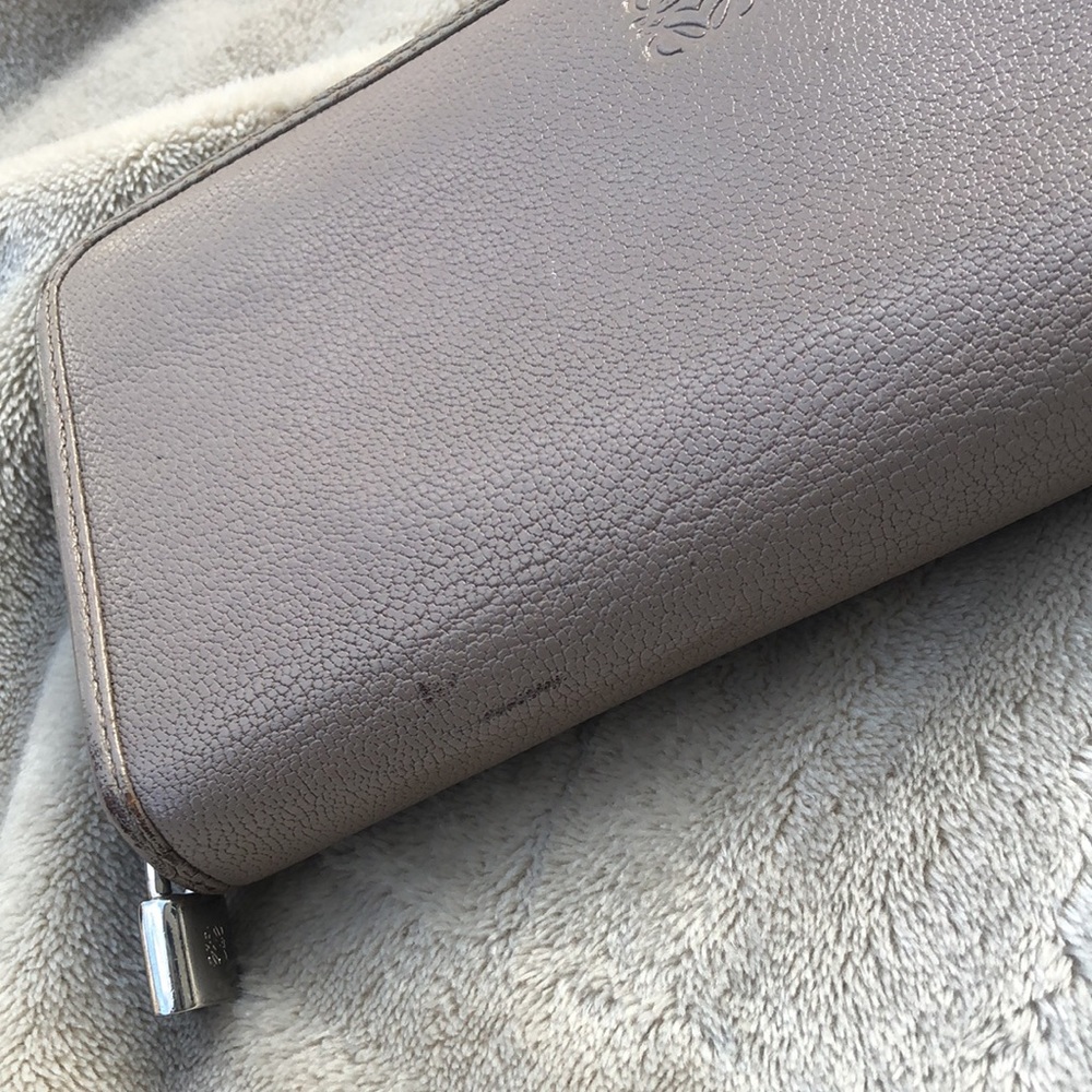 LOEWE Zip Around Amazona Wallet - Picture 13 of 16
